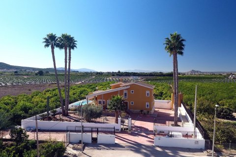 Finca Orihuela, Alicante, Spānijā 4 istabas,  Nr. 115524