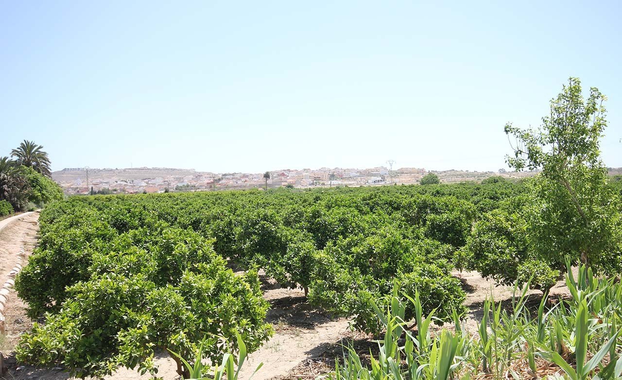 Takvåning i Benijofar, Alicante, Spanien 2 sovrum, 76 kvm. Nr. 94281