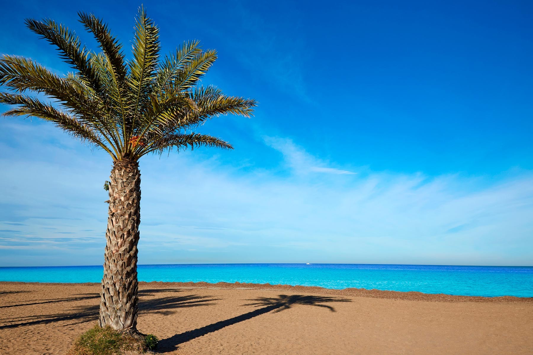 Takvåning i Denia, Alicante, Spanien 3 sovrum, 75 kvm. Nr. 112119