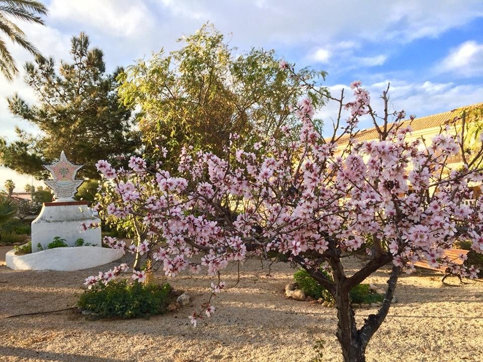 Villa in Alicante, Spanien 3 Schlafzimmer, 120 m2 Nr. 103571