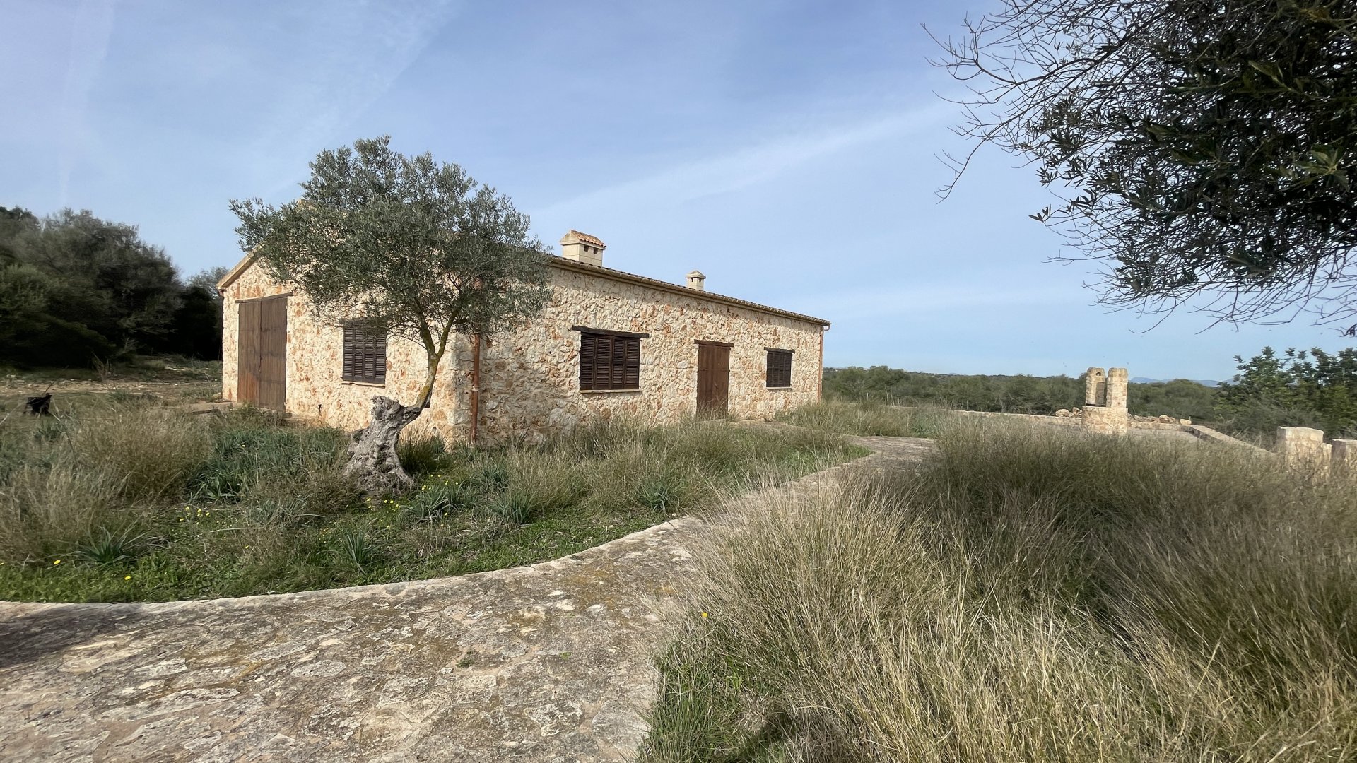 Finca à Maria De La Salut, Mallorca, Espagne 3 chambres, 244 m2 No. 93051
