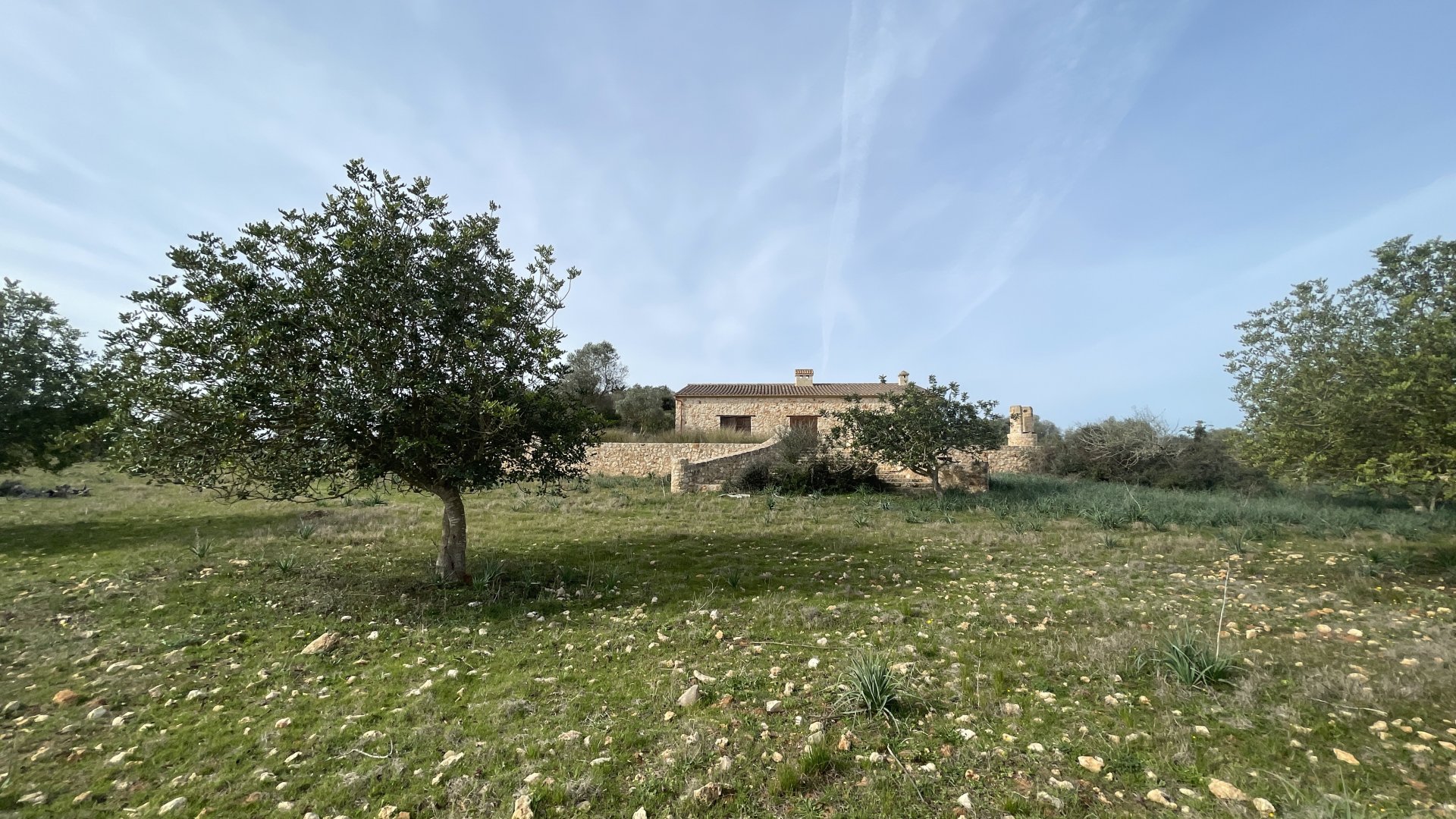 Finca à Maria De La Salut, Mallorca, Espagne 3 chambres, 244 m2 No. 93051