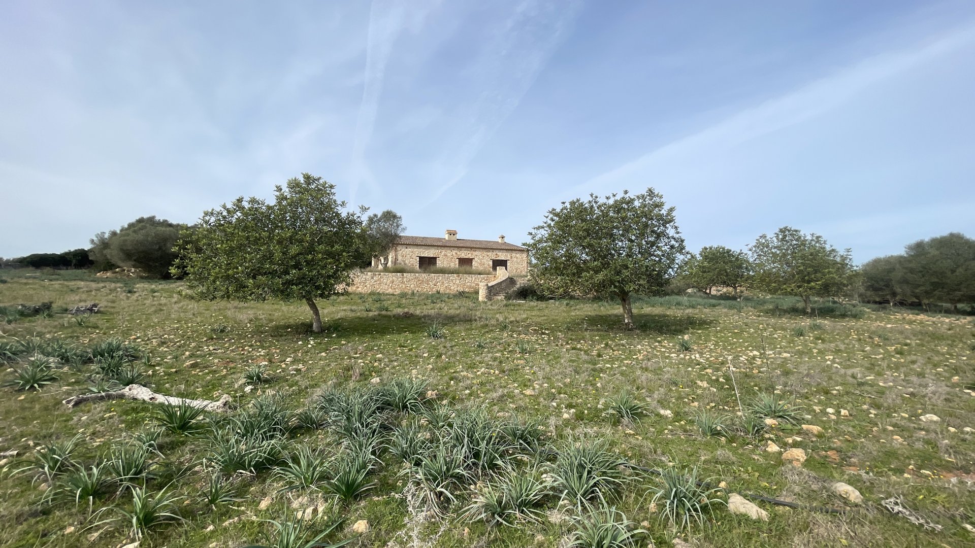 Finca à Maria De La Salut, Mallorca, Espagne 3 chambres, 244 m2 No. 93051
