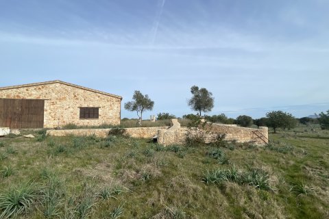 Finca à Maria De La Salut, Mallorca, Espagne 3 chambres, 244 m2 No. 93051