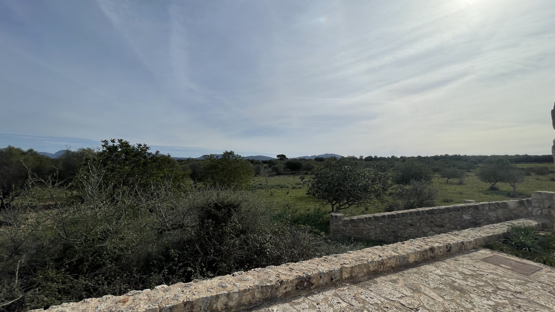 Finca à Maria De La Salut, Mallorca, Espagne 3 chambres, 244 m2 No. 93051