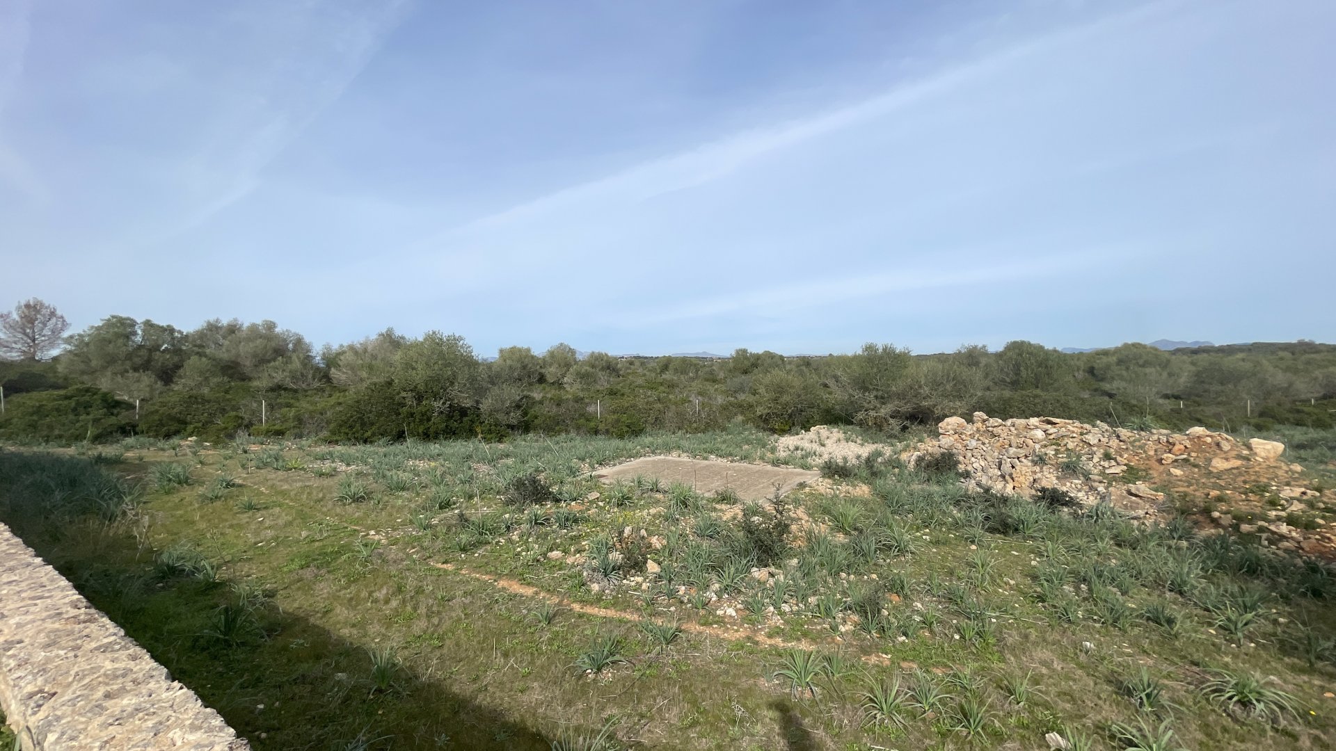 Finca à Maria De La Salut, Mallorca, Espagne 3 chambres, 244 m2 No. 93051