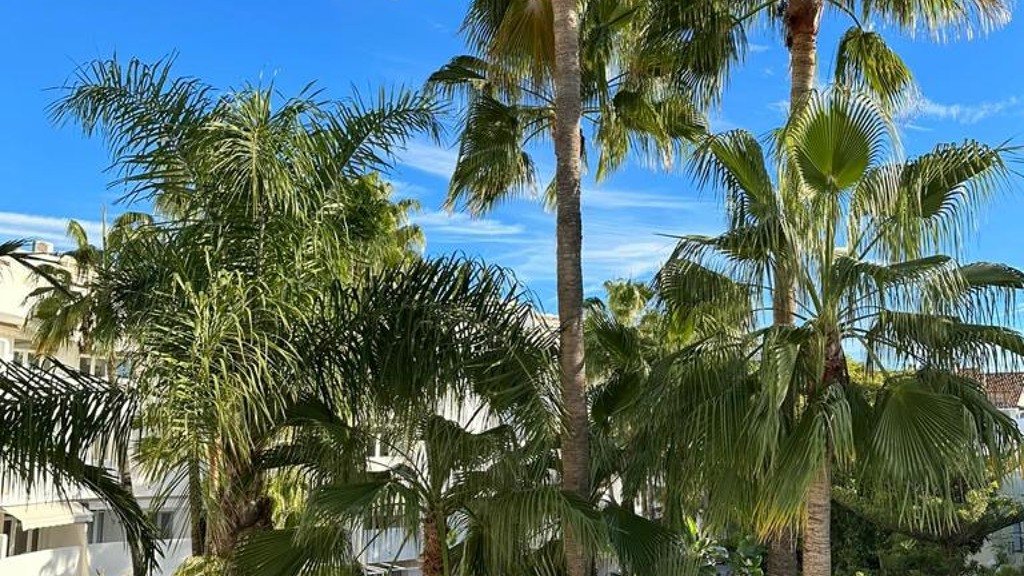Apartment in Marbella, Malaga, Spain 3 bedrooms, 115 sq.m. No. 93035