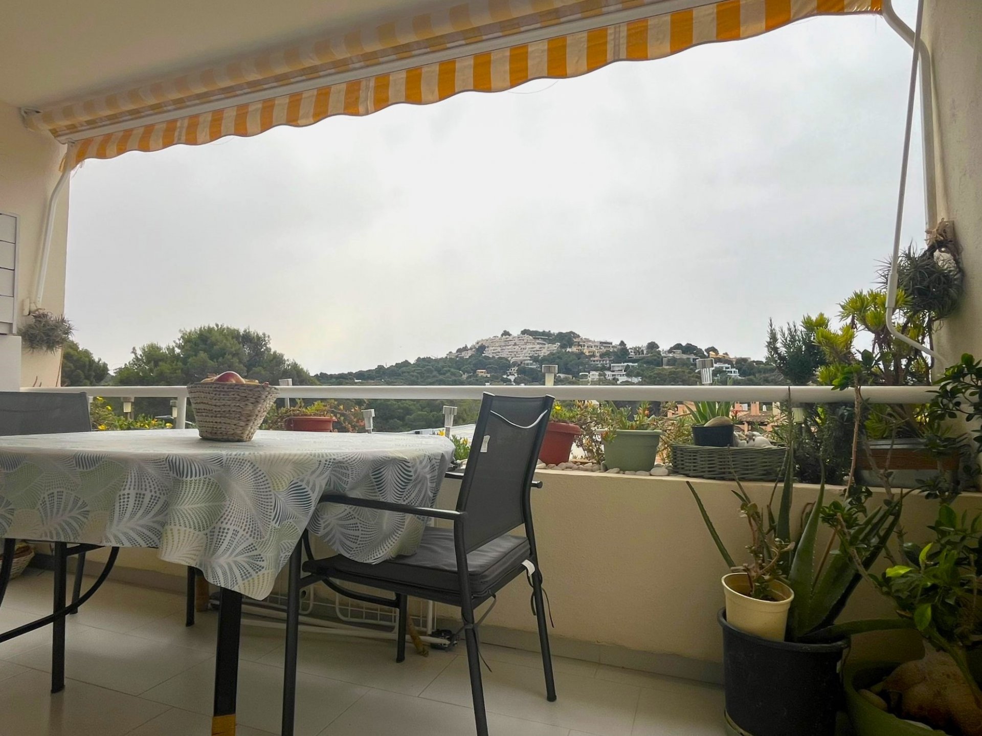 Apartment in Santa Ponsa, Mallorca, Spain 3 bedrooms, 106 sq.m. No. 101846