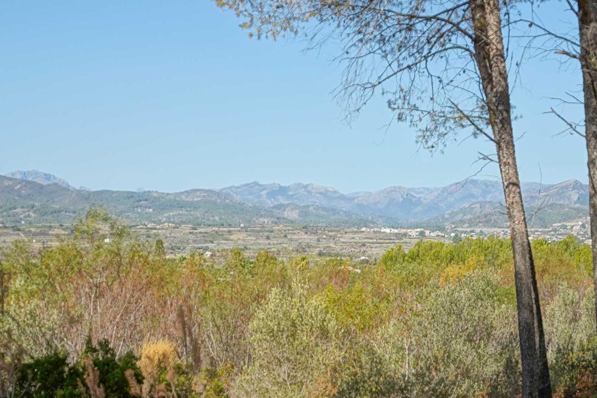 Tontti Javea, Alicante, Espanja No. 113048