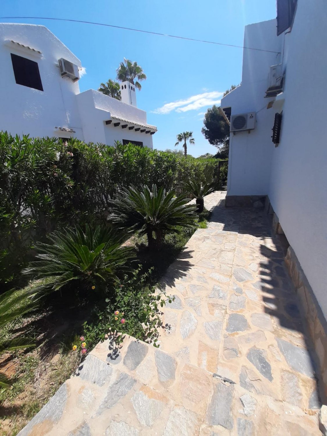 Huvila Alicante, Espanja 4 makuuhuonetta, 130 m2 No. 113043