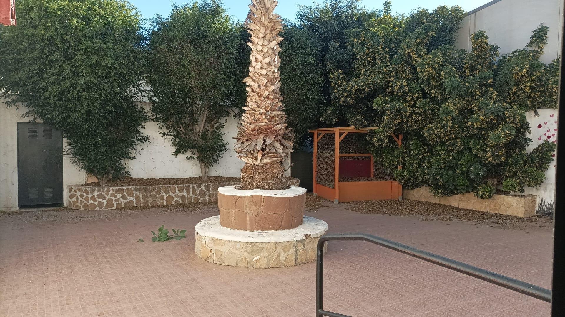 Commercial property in Guardamar del Segura, Alicante, Spain 245 sq.m. No. 92126