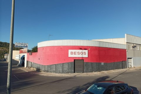 Liikekiinteistö Guardamar del Segura, Alicante, Espanja 245 m2 No. 92126