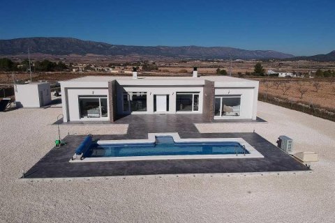 Huvila Pinoso, Alicante, Espanja 3 makuuhuonetta, 145 m2 No. 95009