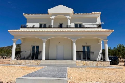 Villa in Pinoso, Alicante, Spanien 4 Schlafzimmer, 163 m2 Nr. 95004