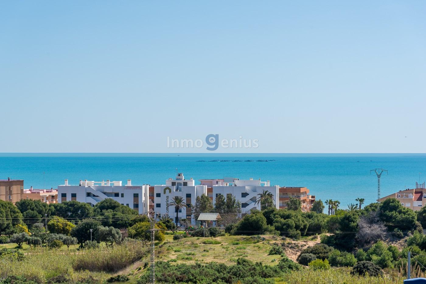 Bungalow à Guardamar del Segura, Alicante, Espagne 3 chambres, 156 m2 No. 81542