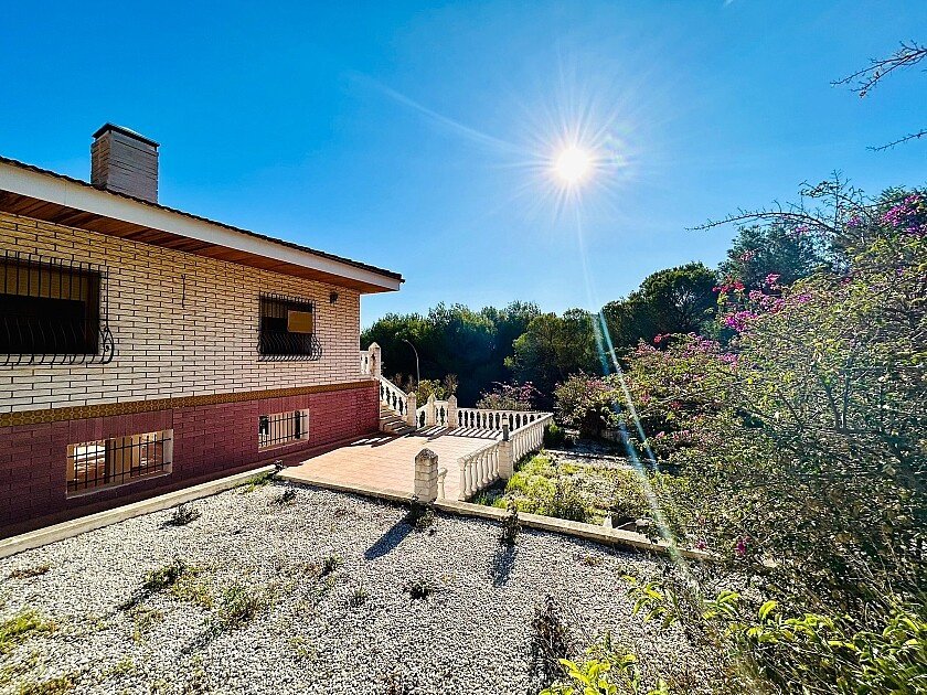 Villa en Dehesa De Campoamor, Alicante, España 10 dormitorios, 800 m2 No. 111200