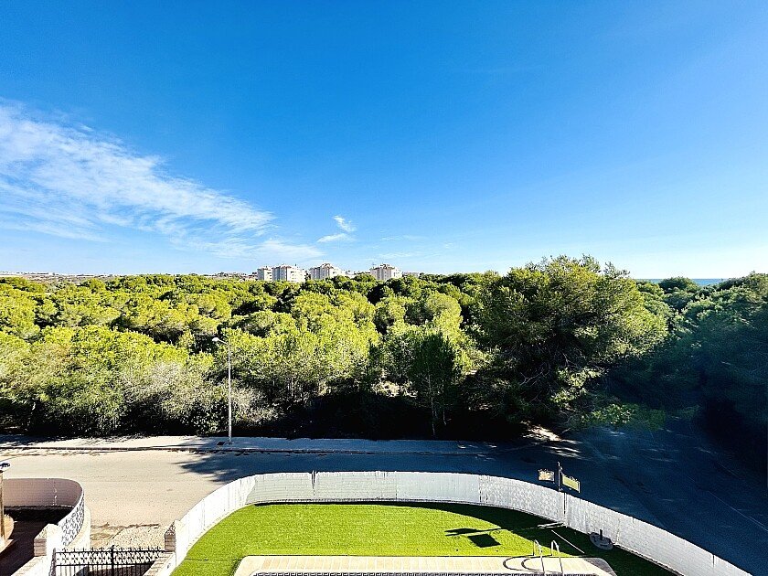 Villa en Dehesa De Campoamor, Alicante, España 10 dormitorios, 800 m2 No. 111200