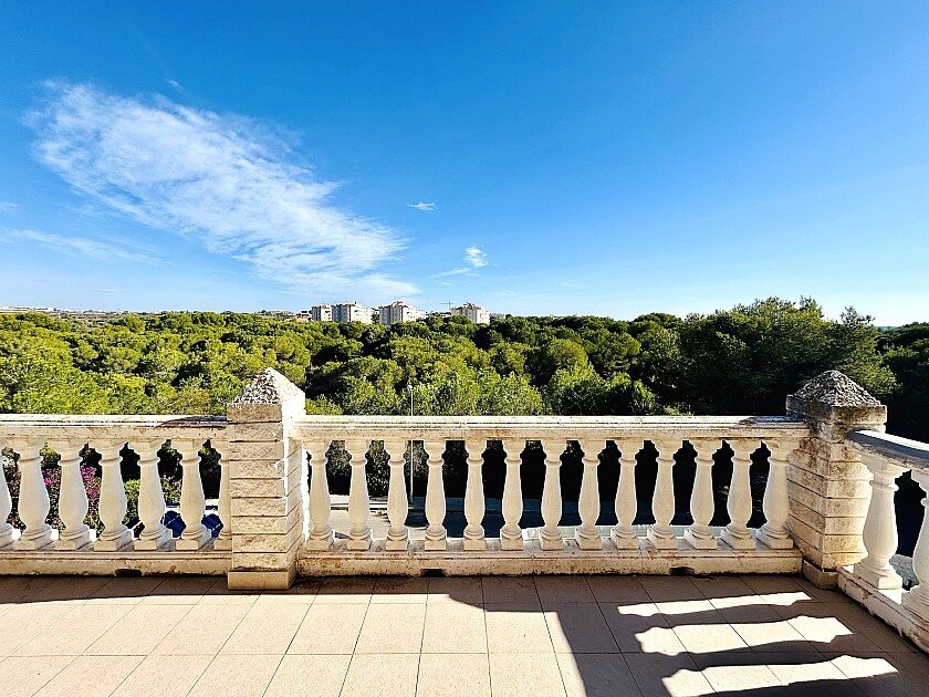 Villa en Dehesa De Campoamor, Alicante, España 10 dormitorios, 800 m2 No. 111200