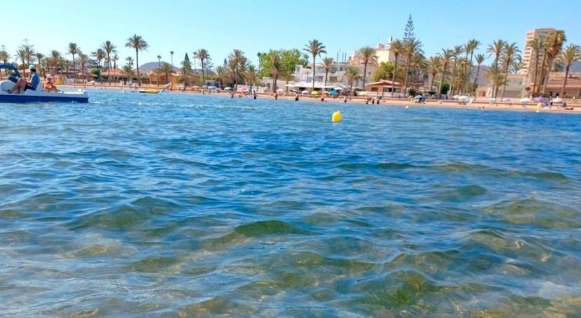Вилла в Торре-Пачеко, Мурсия, Испания 3 спальни, 80м2 №103547