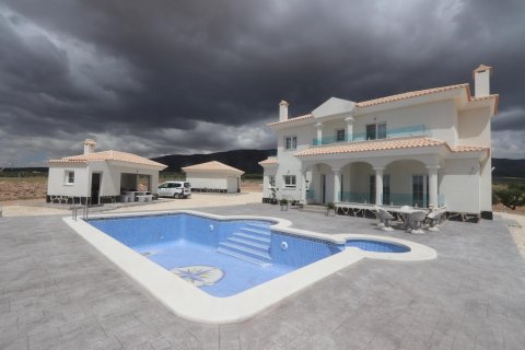 Villa in Pinoso, Alicante, Spanien 4 Schlafzimmer, 180 m2 Nr. 87434
