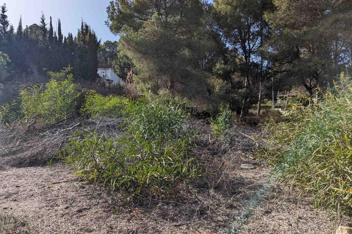 Działka w Moraira, Alicante, Hiszpania nr 97880