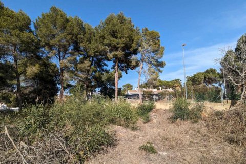 Land plot in Moraira, Alicante, Spain No. 97880