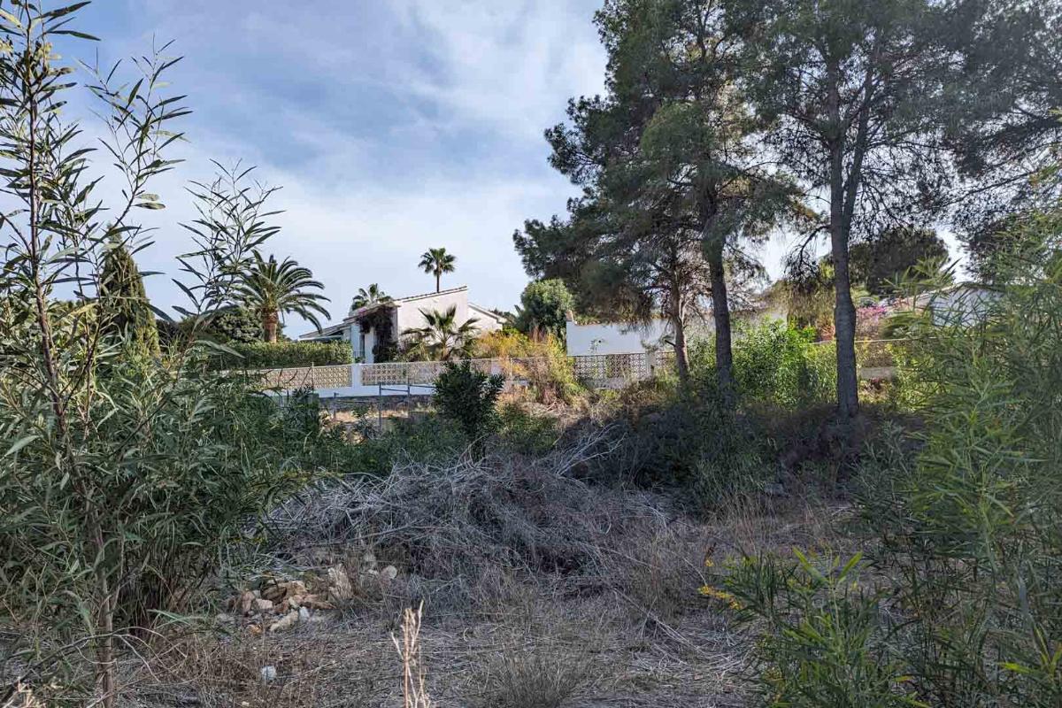 Działka w Moraira, Alicante, Hiszpania nr 97880