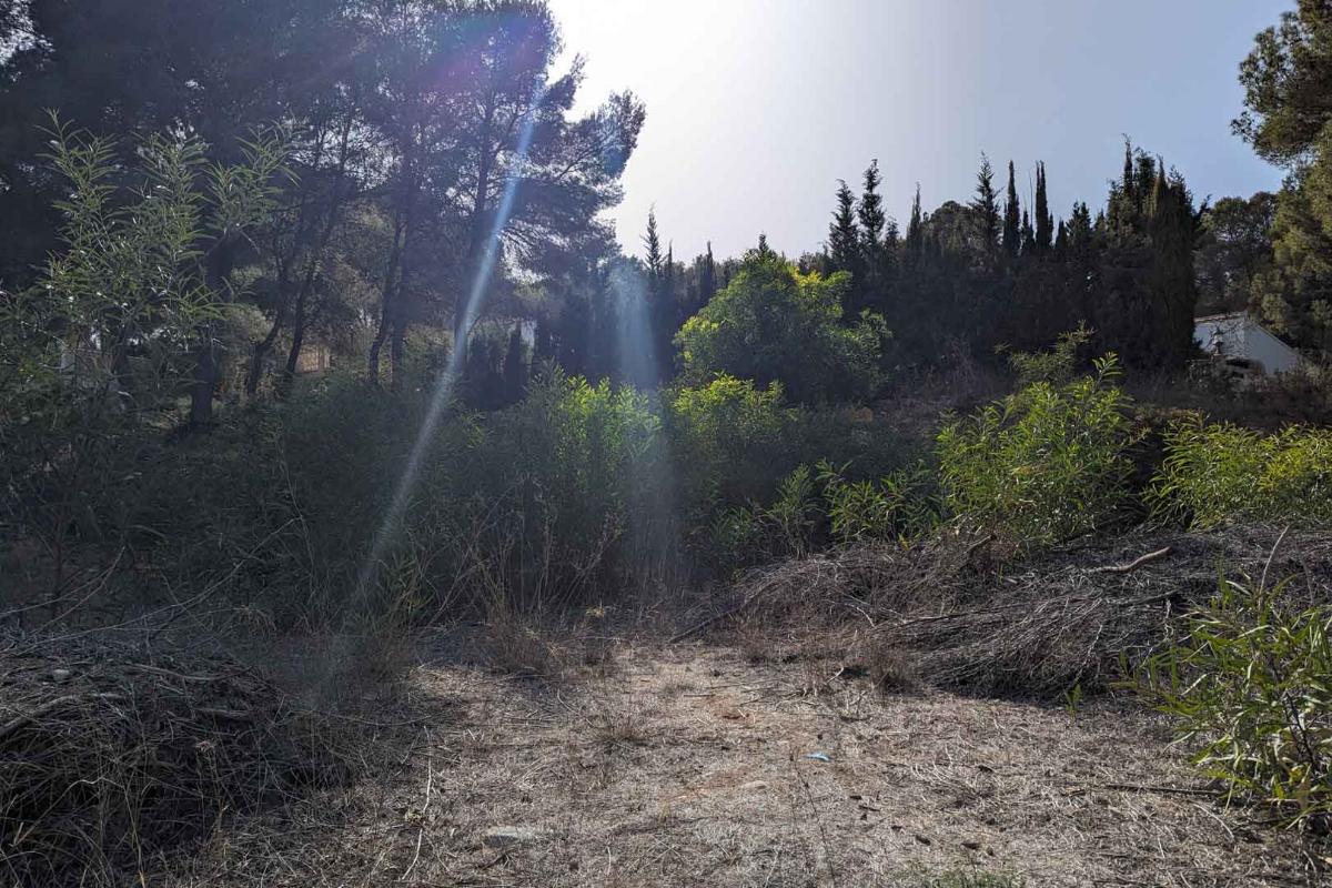 Działka w Moraira, Alicante, Hiszpania nr 97880