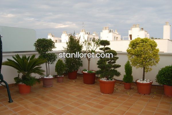 Appartamento a Lloret de Mar, Girona, Spagna 4 camere da letto, 264 mq. N° 104042