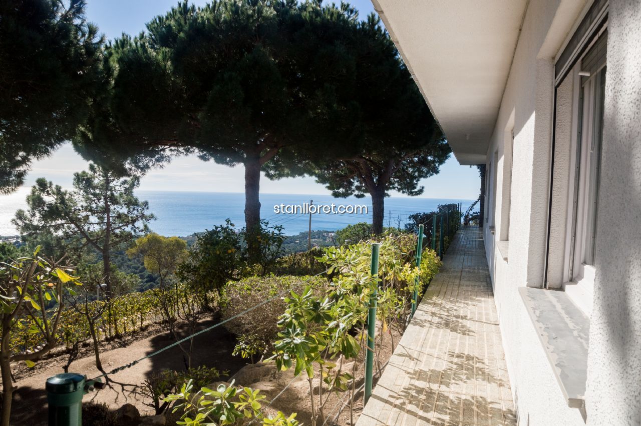 Villa à Lloret de Mar, Girona, Espagne 5 chambres, 300 m2 No. 104037