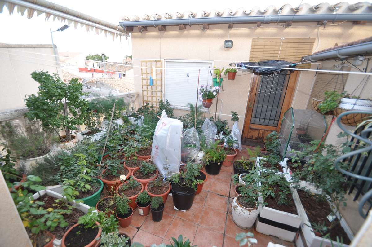 Villetta a schiera a Pinoso, Alicante, Spagna 4 camere da letto,  N° 116397