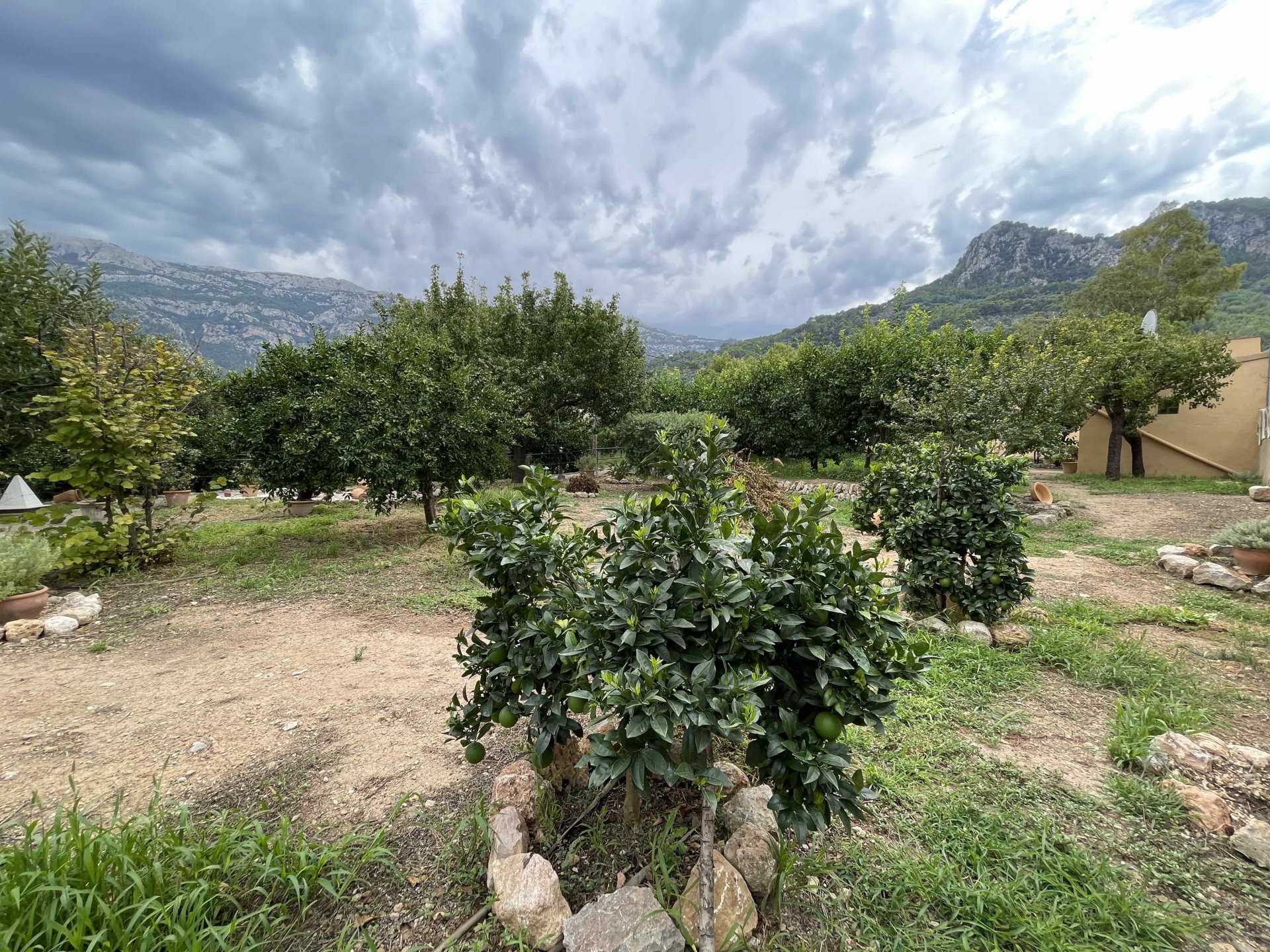 Finka w Soller, Mallorca, Hiszpania 1 sypialnia, 46 mkw. nr 83746