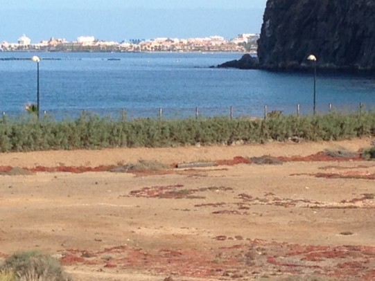 Duplex in Palm-Mar, Tenerife, Spanien 3 Schlafzimmer, 108 m2 Nr. 92908