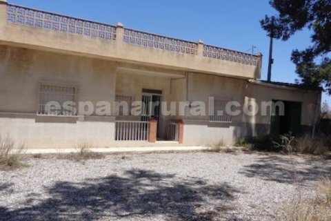 House in Almeria, Spanien 3 Schlafzimmer, 260 m2 Nr. 100357