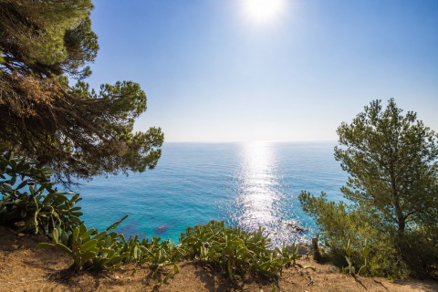 Land plot in Arenys de Mar, Barcelona, Spain No. 93244