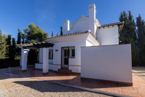 Villa in Murcia, Spanien 3 Schlafzimmer, 217 m2 Nr. 113107