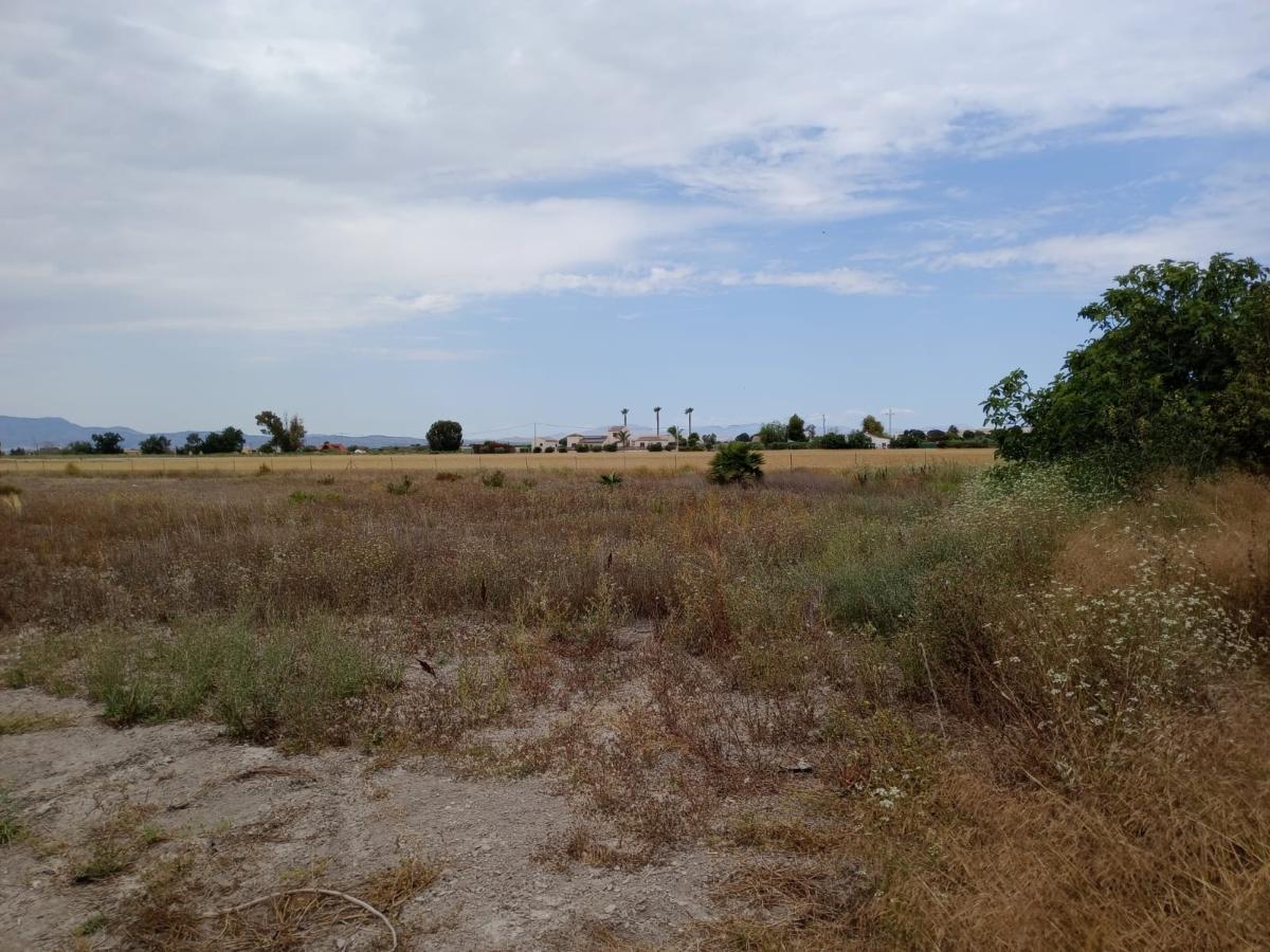 Tomt i San Fulgencio, Alicante, Spanien 11900 kvm. Nr. 112932