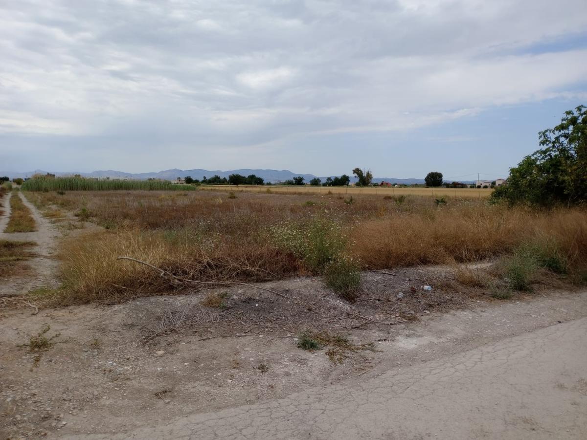 Tomt i San Fulgencio, Alicante, Spanien 11900 kvm. Nr. 112932