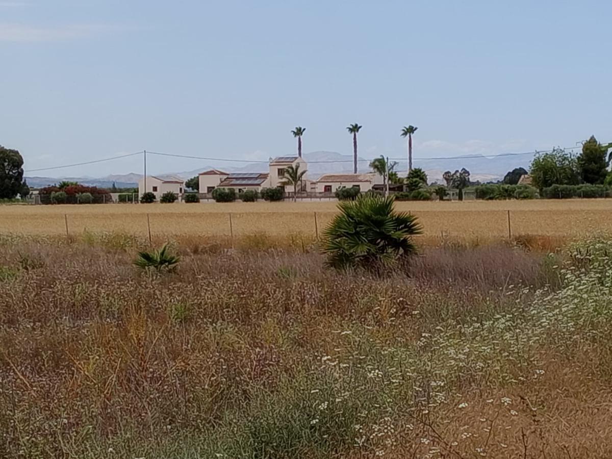 Tomt i San Fulgencio, Alicante, Spanien 11900 kvm. Nr. 112932