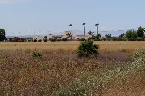 Terreno a San Fulgencio, Alicante, Spagna 11900 mq. N° 112932