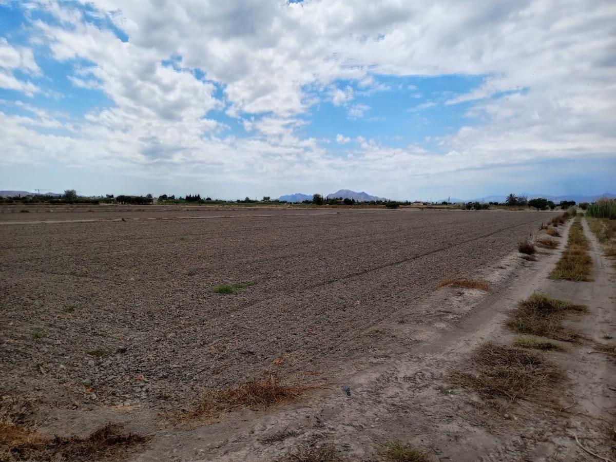 Tomt i San Fulgencio, Alicante, Spanien 11900 kvm. Nr. 112932