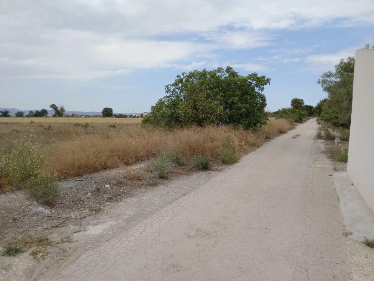 Tomt i San Fulgencio, Alicante, Spanien 11900 kvm. Nr. 112932