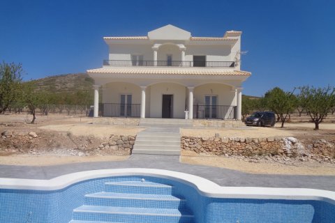 Villa in Pinoso, Alicante, Spain 3 bedrooms, 163 sq.m. No. 87091