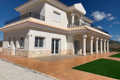Huvila Pinoso, Alicante, Espanja 5 makuuhuonetta, 225 m2 No. 87408