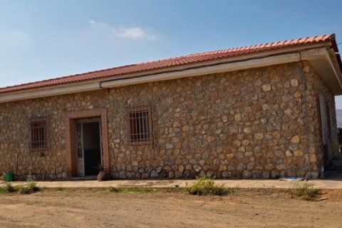 Villa in Mallorca, Spanien 5 Schlafzimmer, 275 m2 Nr. 103227