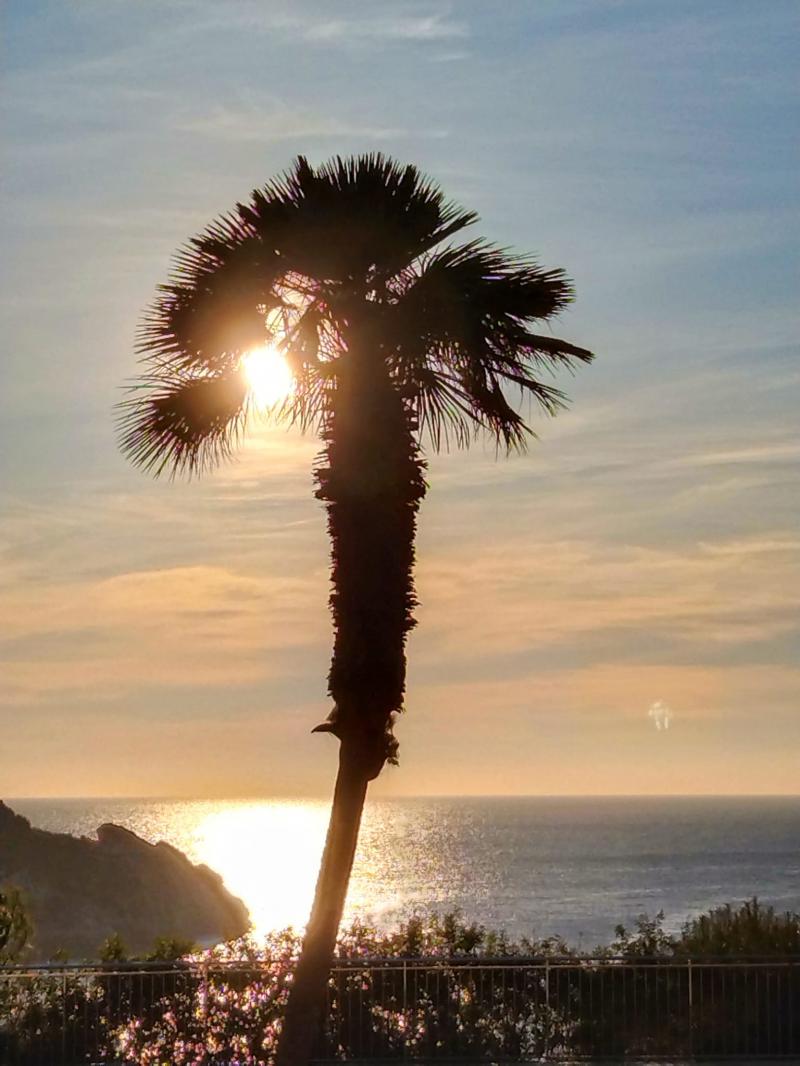 Apartment in Nova Santa Ponsa, Mallorca, Spain 3 bedrooms, 93 sq.m. No. 103226