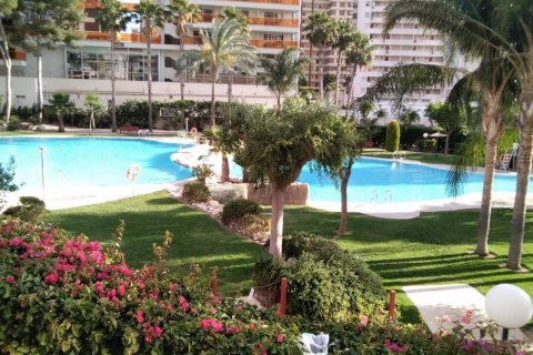 Apartment in Benidorm, Alicante, Spain 3 bedrooms, 160 sq.m. No. 119385