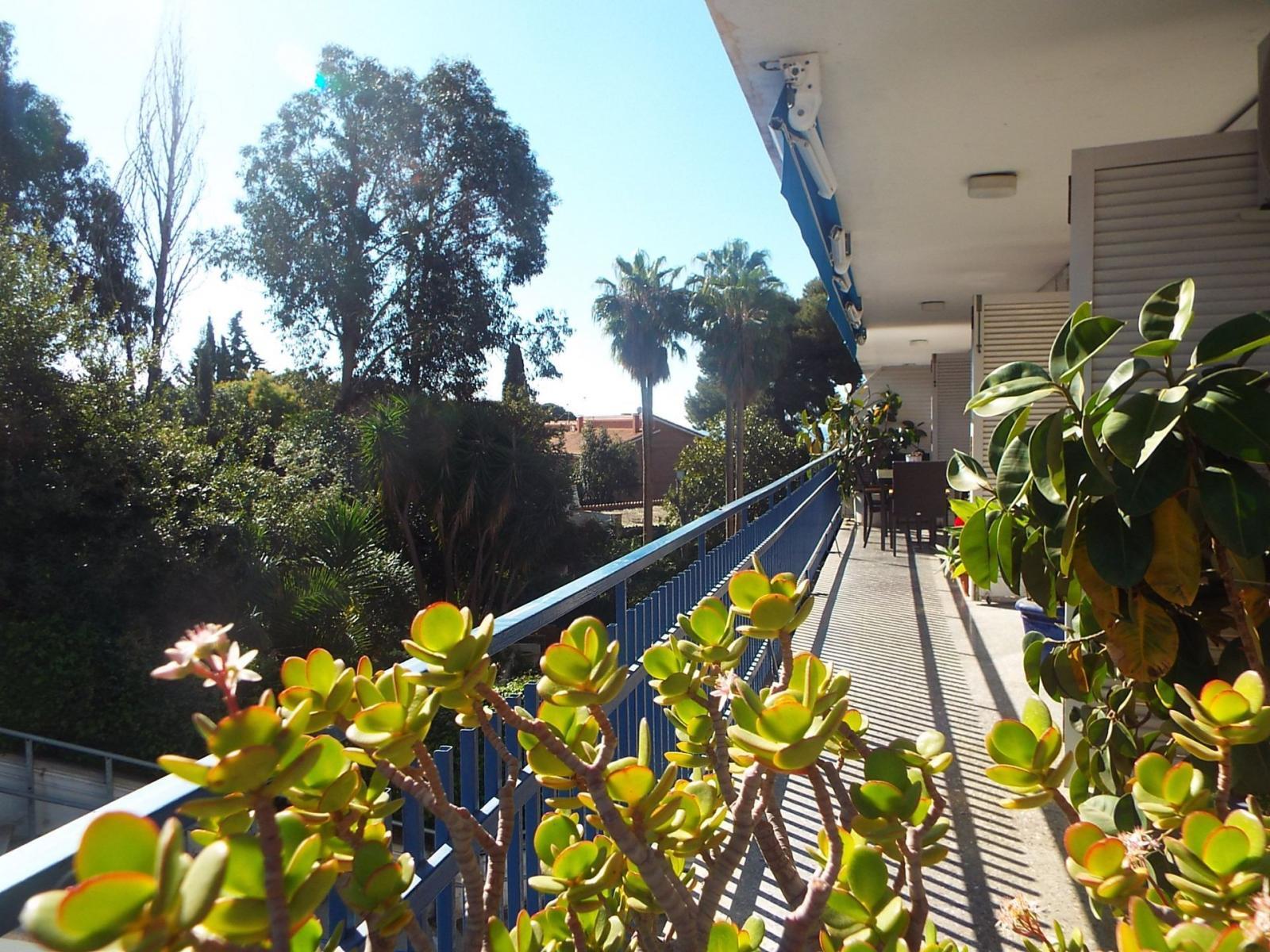 Apartament w San Andres, Gran Canaria, Hiszpania 3 sypialnie, 164 mkw. nr 21784