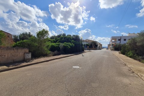 Land plot in Sa Rapita, Mallorca, Spain 686 sq.m. No. 111904