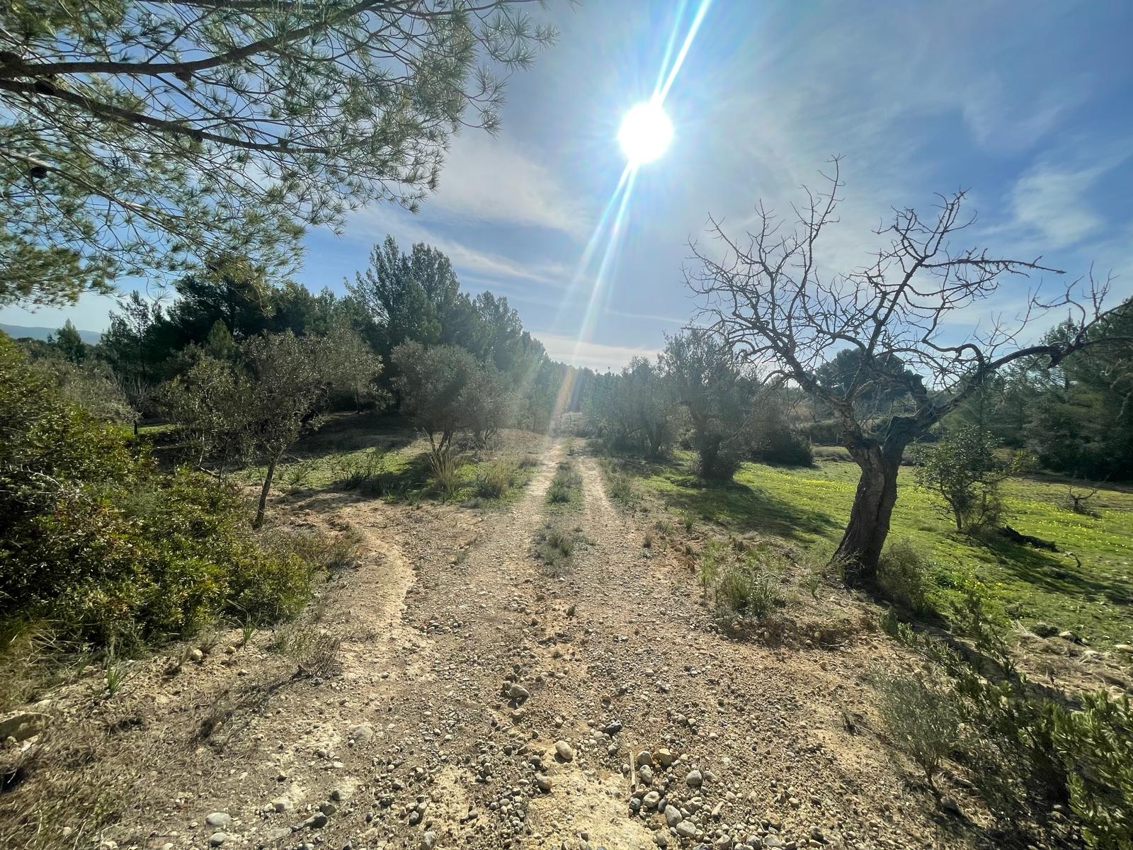 Finca en Calvià, Mallorca, España 3 dormitorios, 132 m2 No. 92988